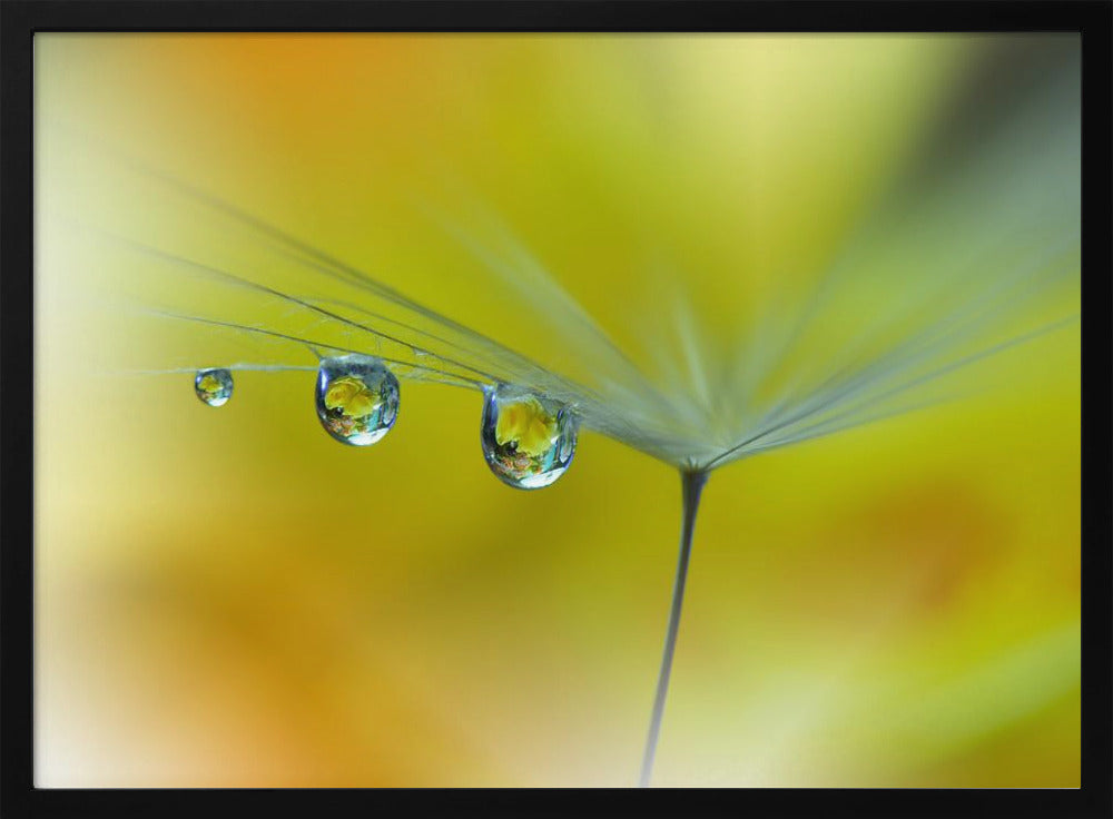 SunBeam...III | Poster