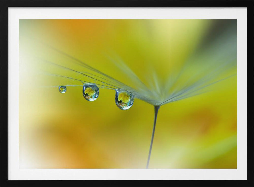 SunBeam...III | Poster