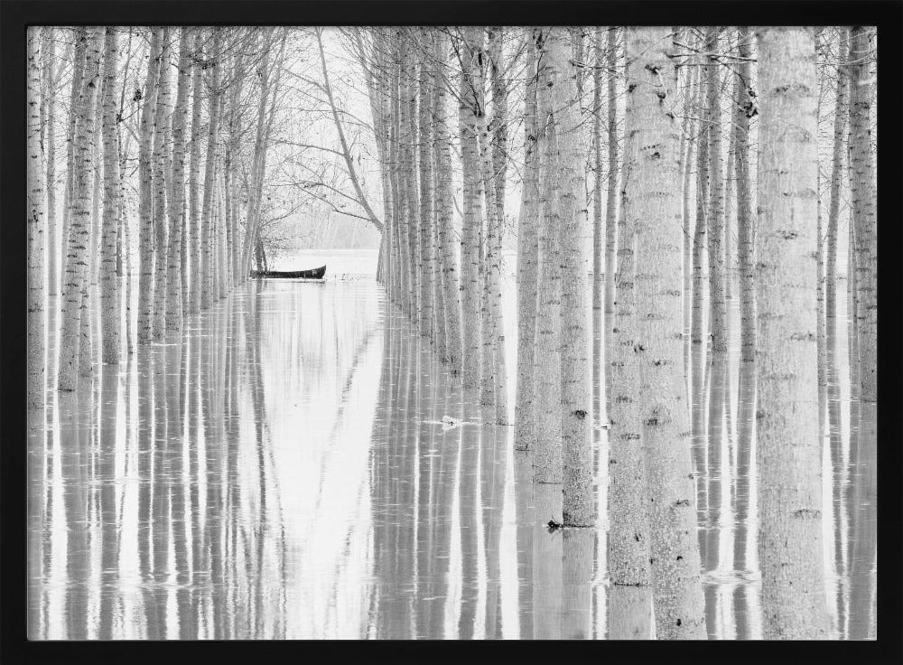 Free movement | Poster