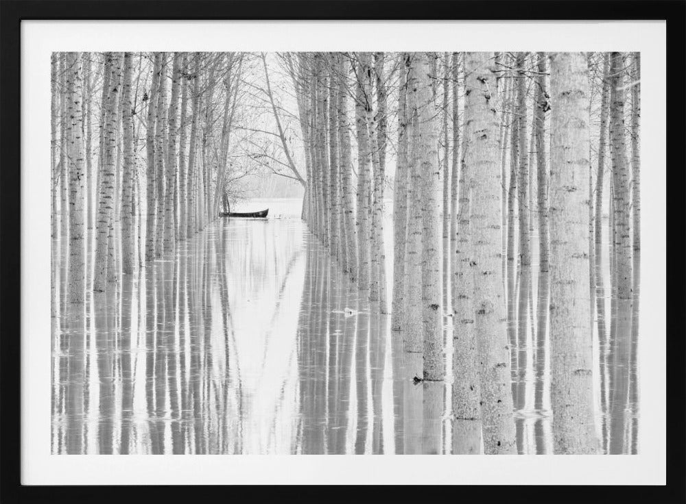 Free movement | Poster