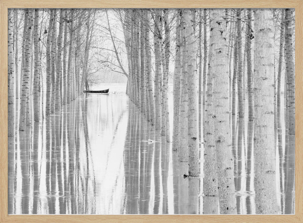 Free movement | Poster