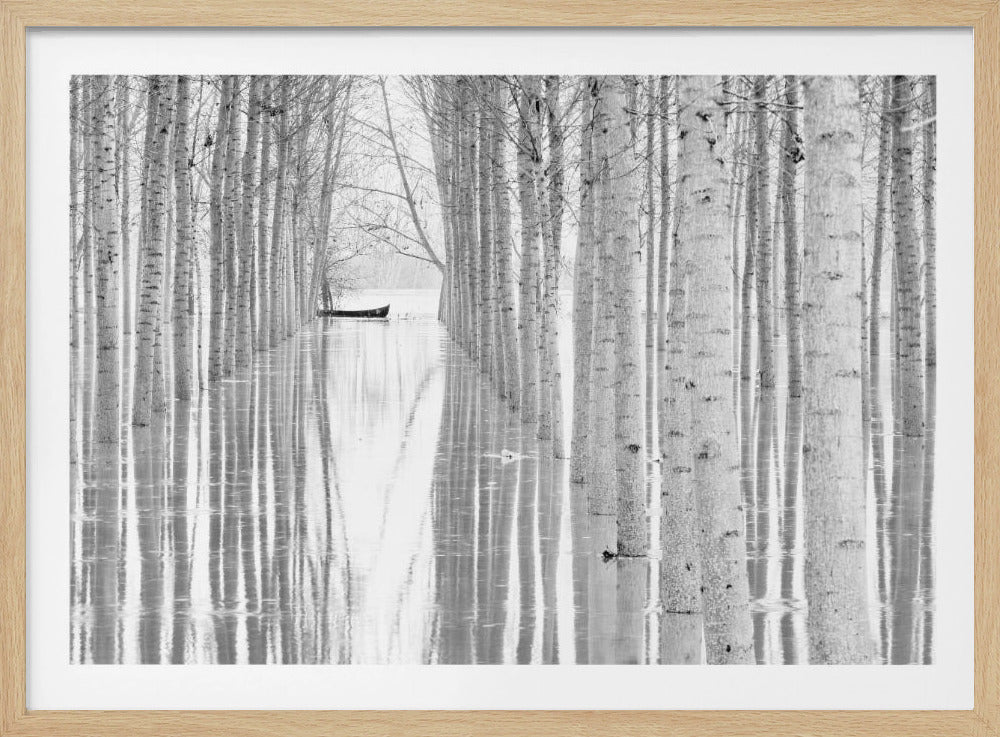 Free movement | Poster