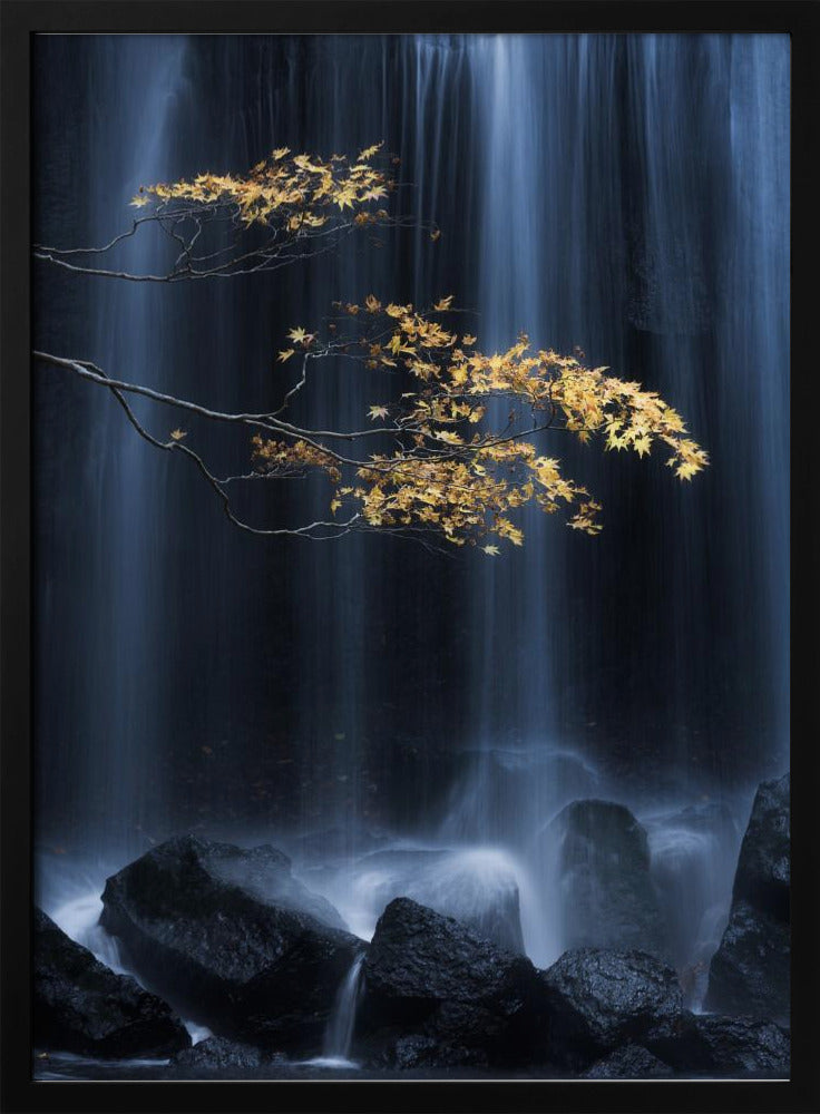 Yellow Autumn | Poster