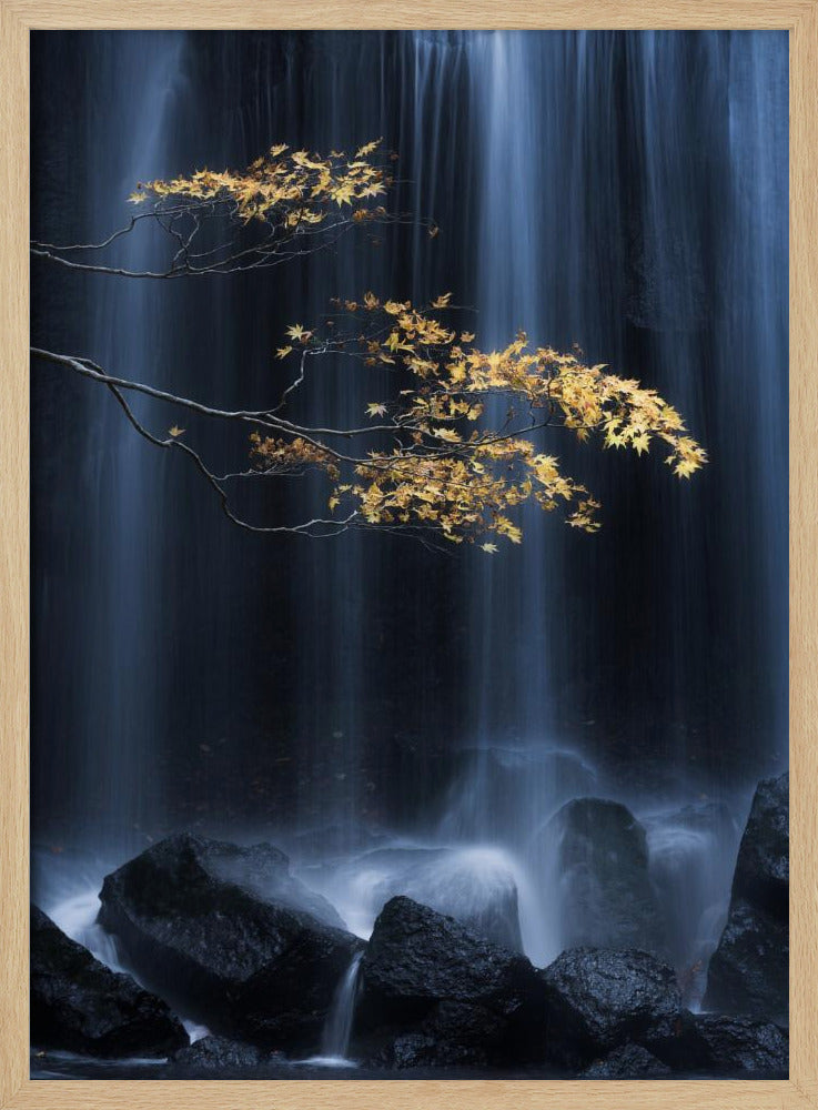 Yellow Autumn | Poster