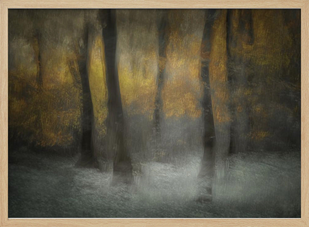 Dancing Trees | Poster