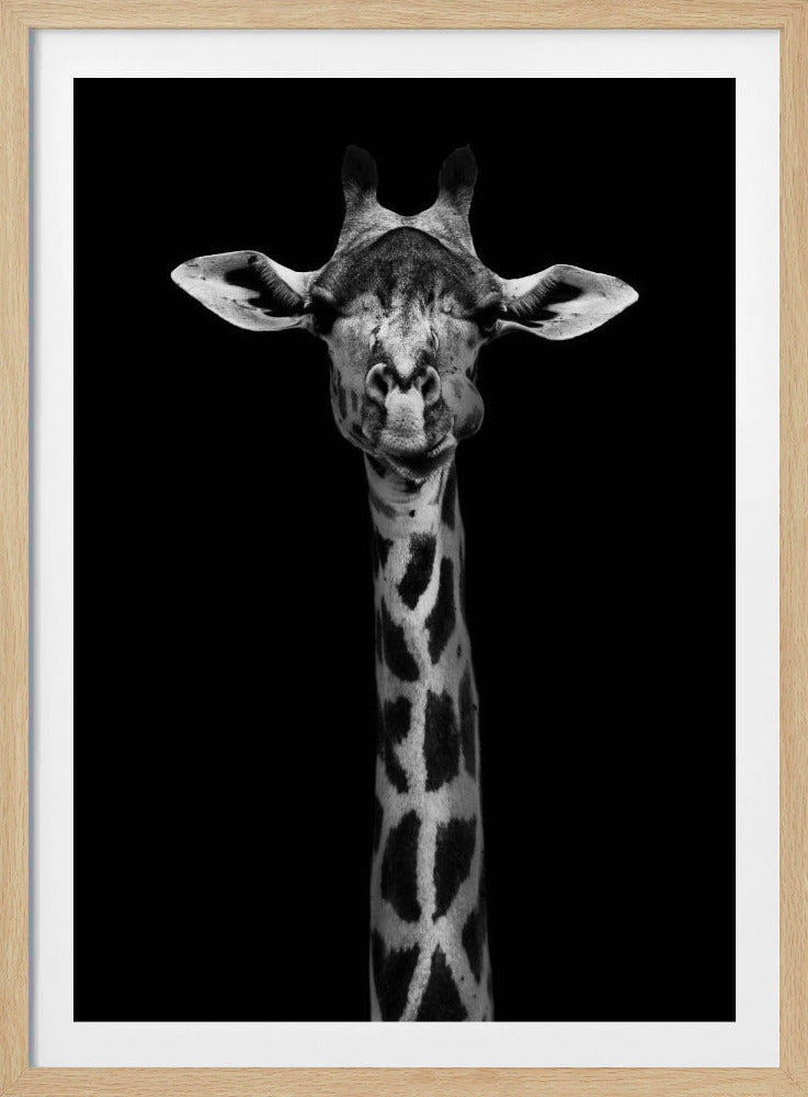 Giraffe Portrait | Poster