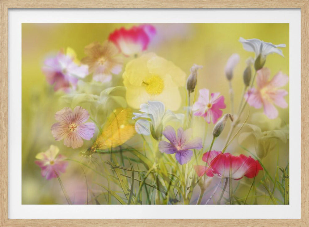 Tiny garden in a summer field | Poster