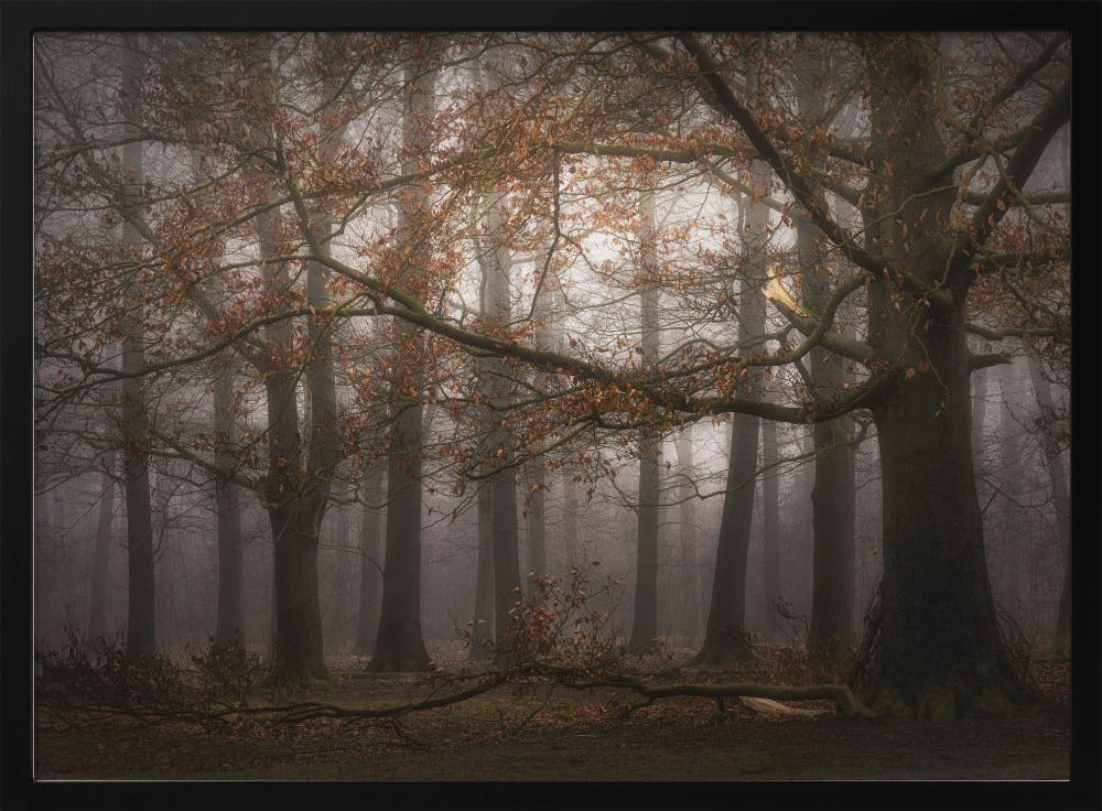 Foggy memory of the past | Poster