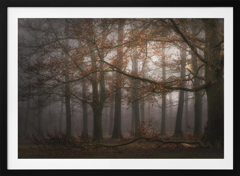 Foggy memory of the past | Poster