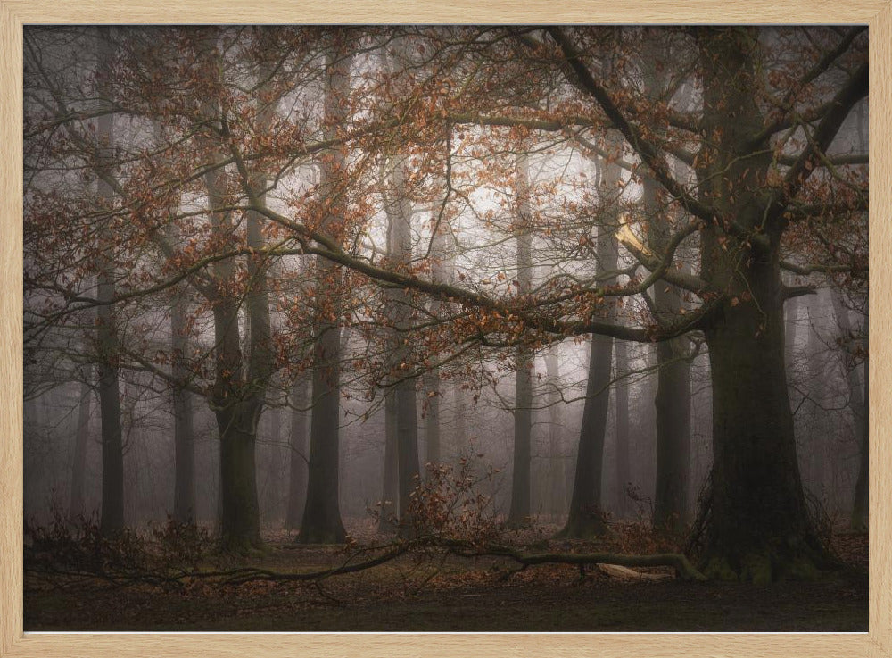 Foggy memory of the past | Poster