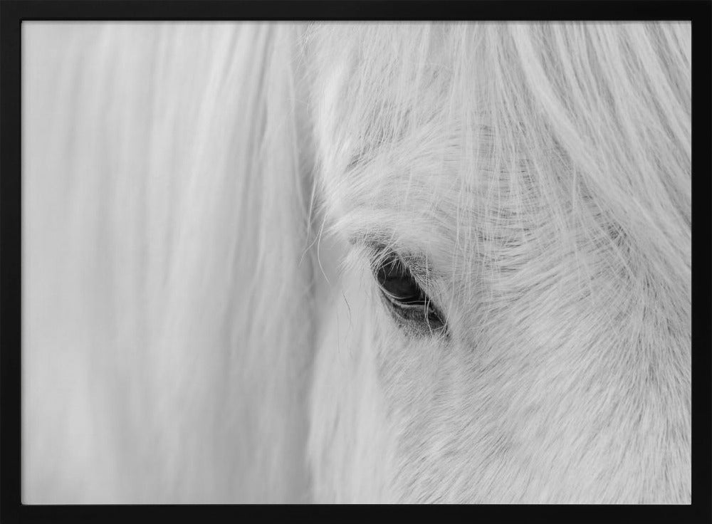 Whisper of Iceland | Poster