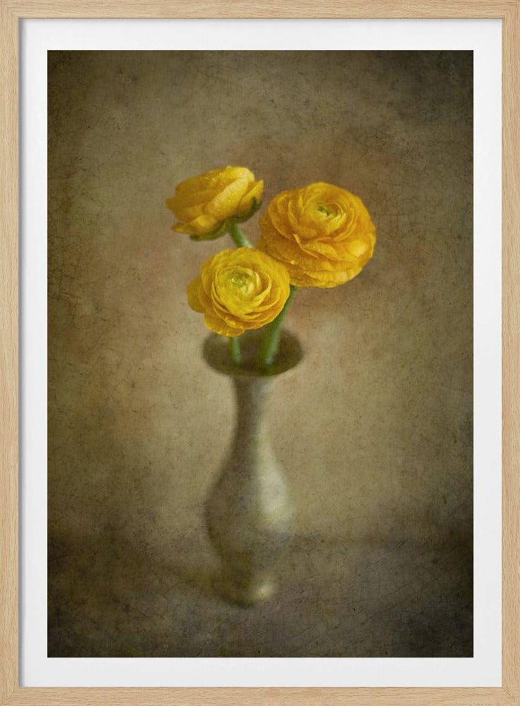 Yellow buttercups | Poster