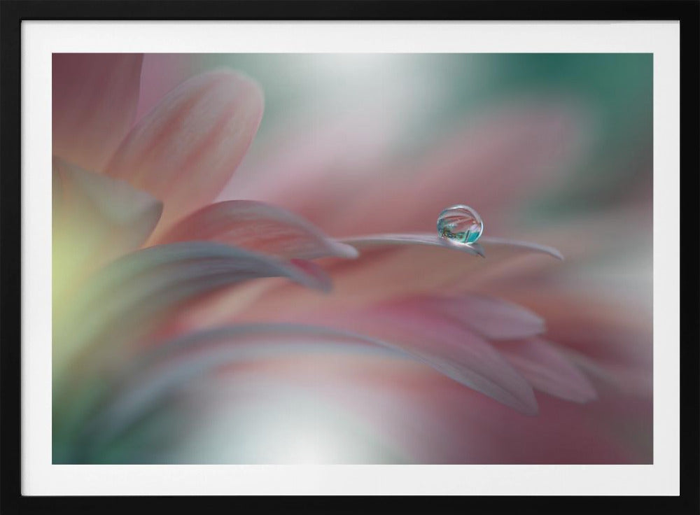 Sunbeam..II | Poster