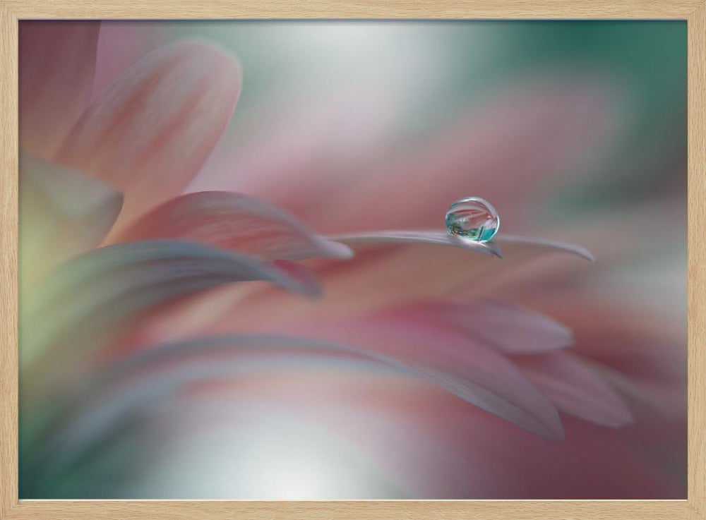 Sunbeam..II | Poster