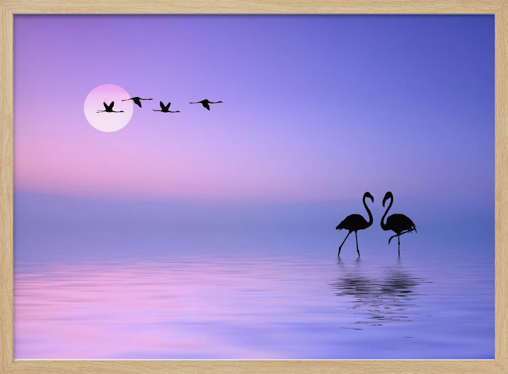 Flying Flamingo | Poster