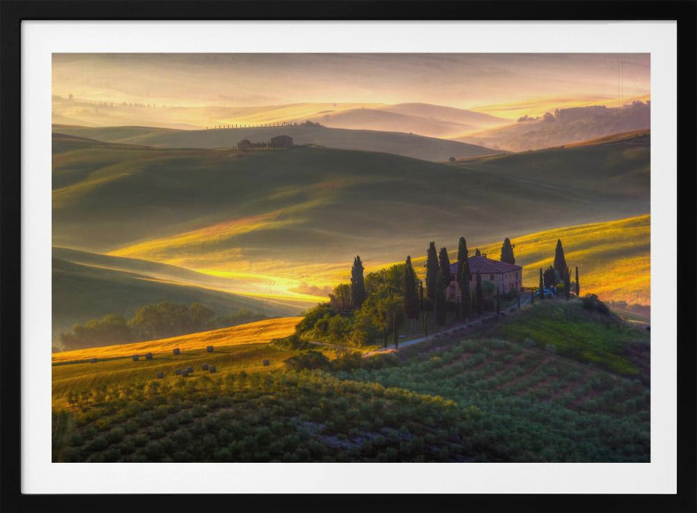 Of green and gold | Poster