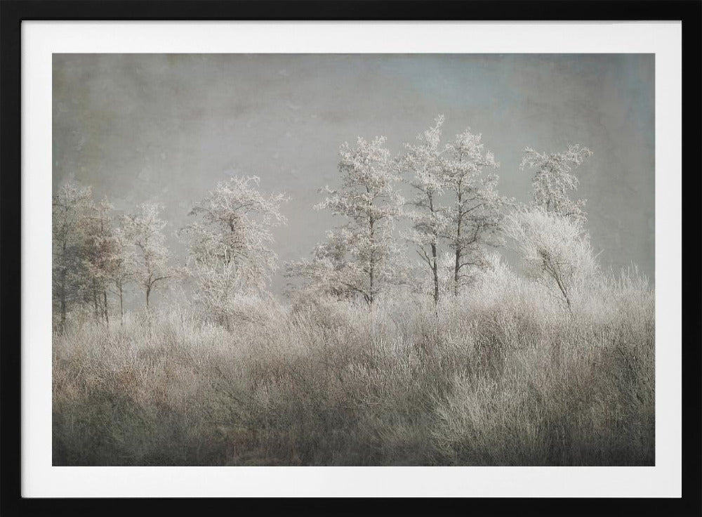 Cold morning | Poster