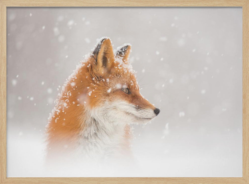 Snow is falling… | Poster