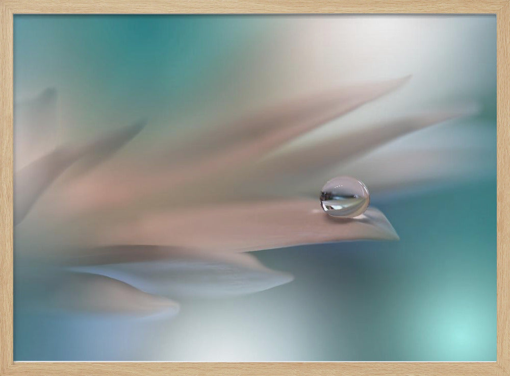 White Symphony.. | Poster