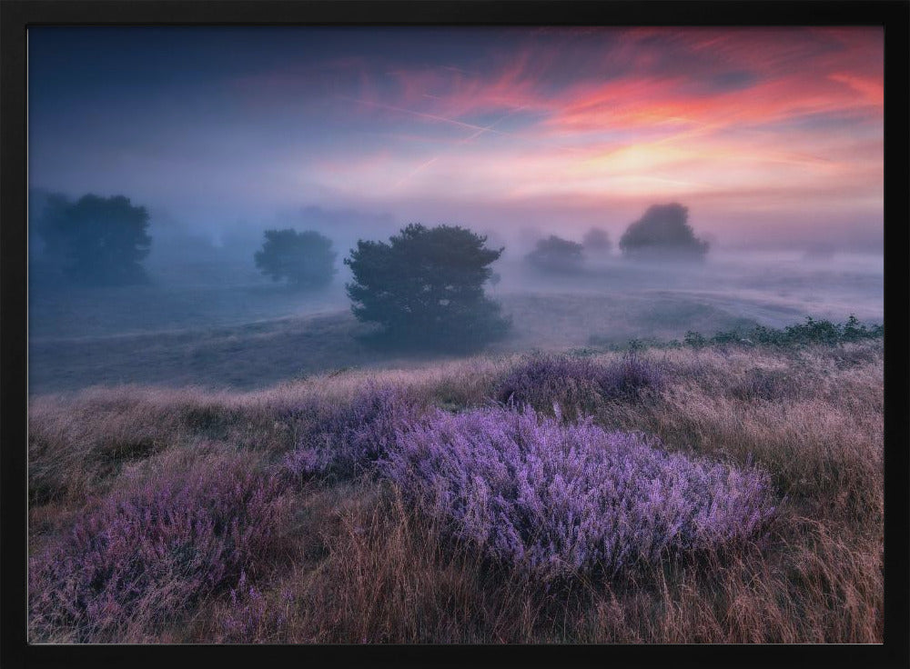 "the colors of heather" | Poster