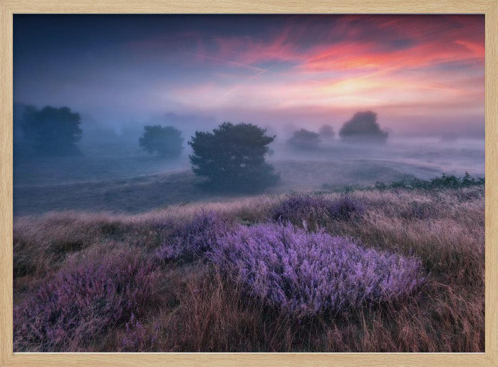 "the colors of heather" | Poster