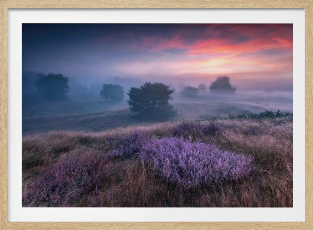 "the colors of heather" | Poster