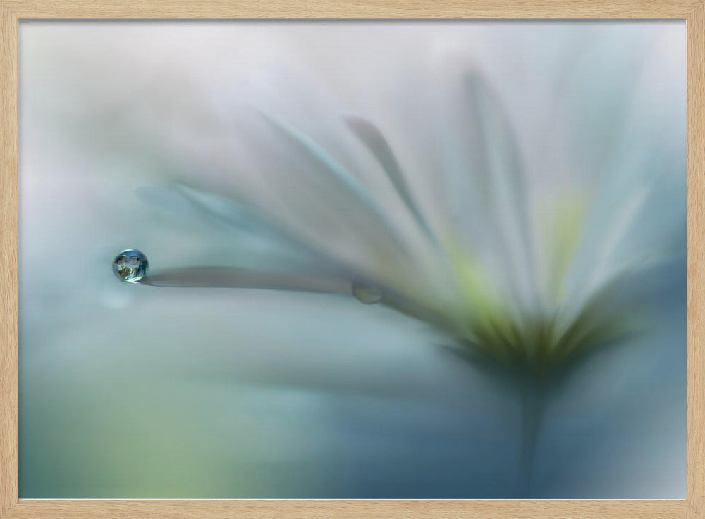 Fields of Hope.. | Poster