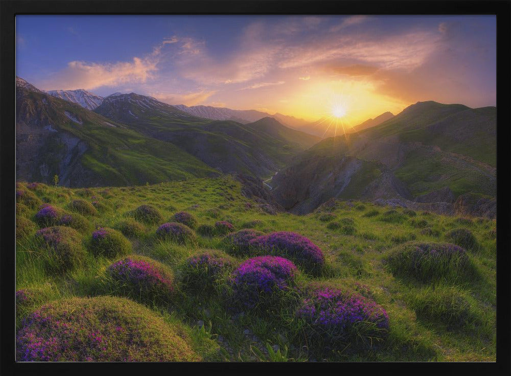 spring in show | Poster