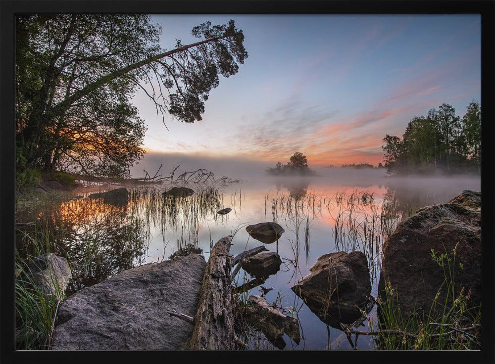 peaceful morning | Poster