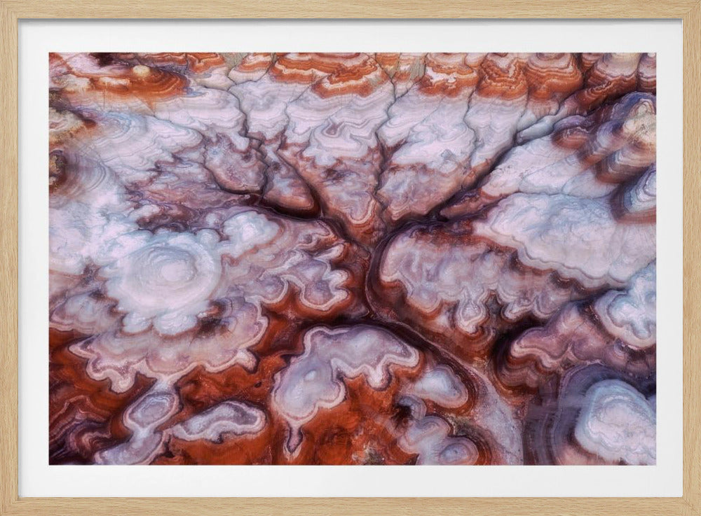 A Tree in the Desert | Poster