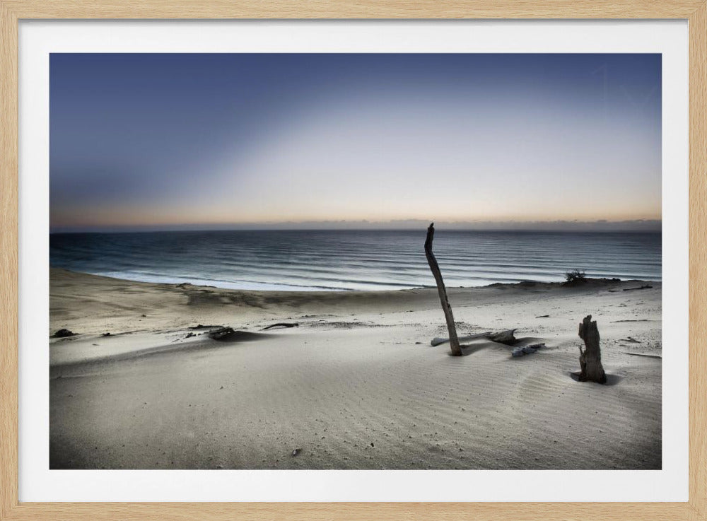 Reach for the sun | Poster