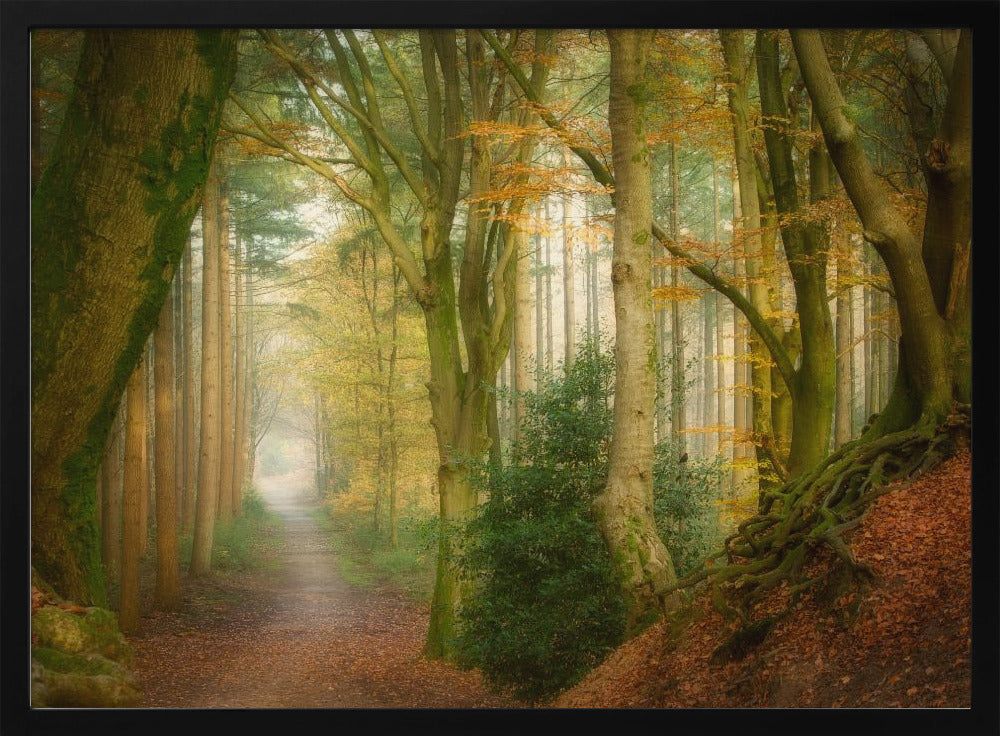 Following Fog | Poster