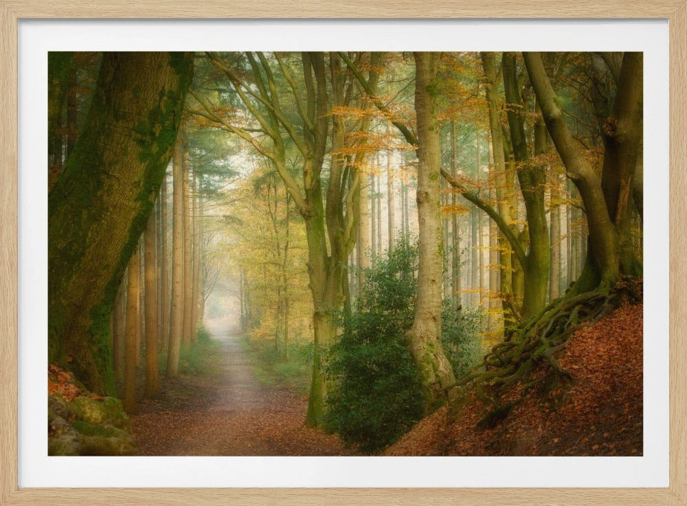 Following Fog | Poster