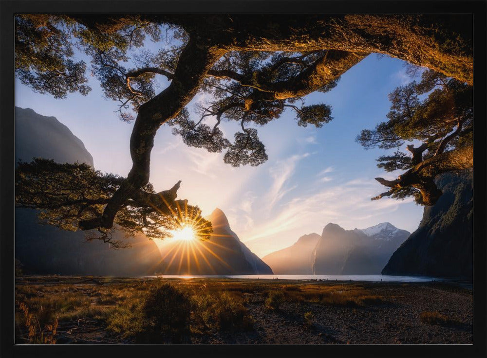 Sunny Day in Milford Sound | Poster