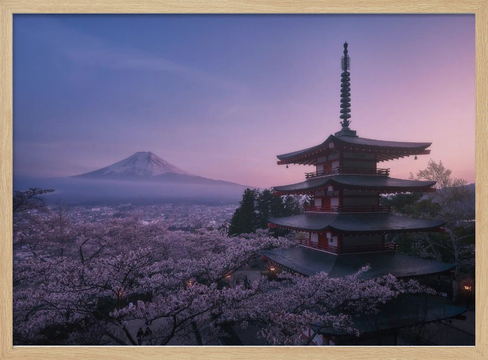 Mt Fuji Sakura | Poster