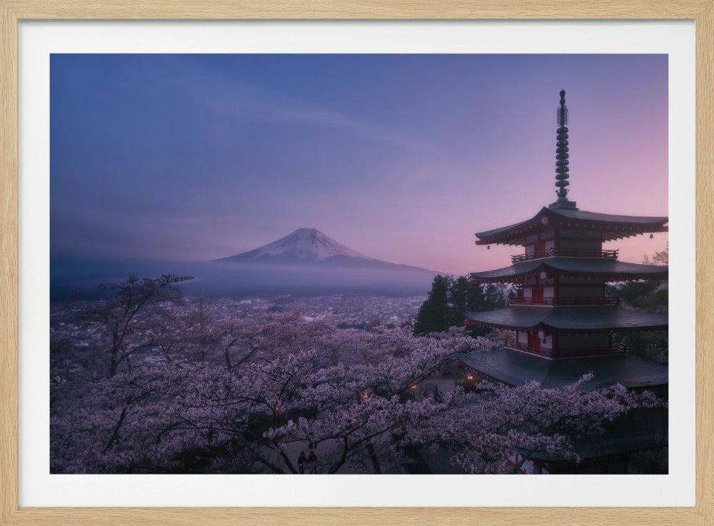 Mt Fuji Sakura | Poster
