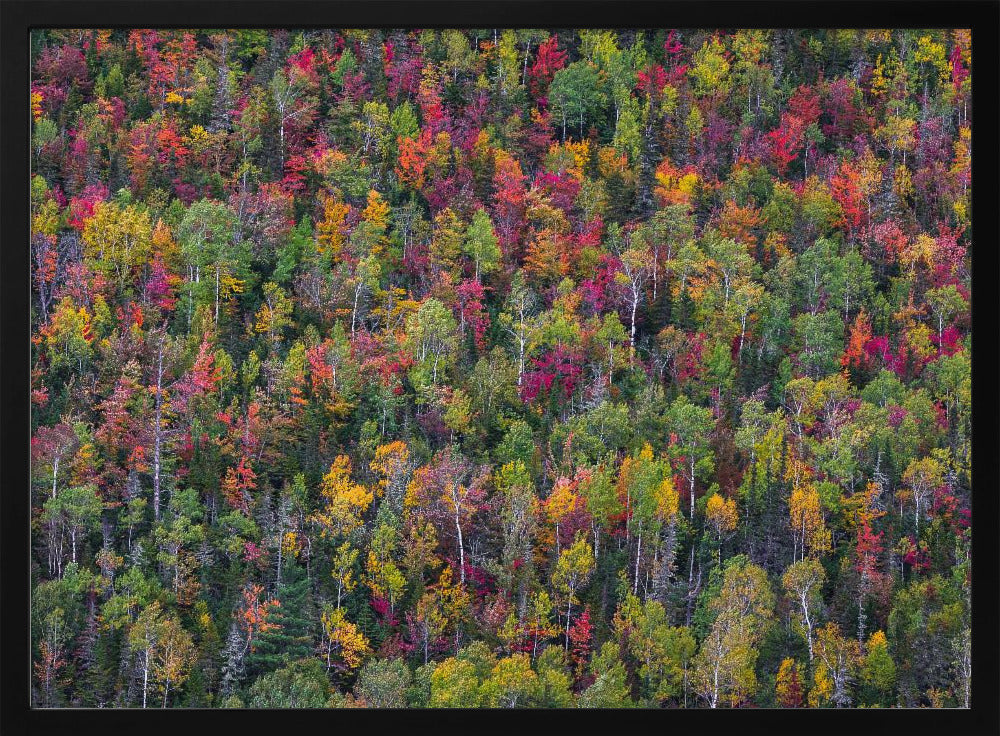 Color palette | Poster