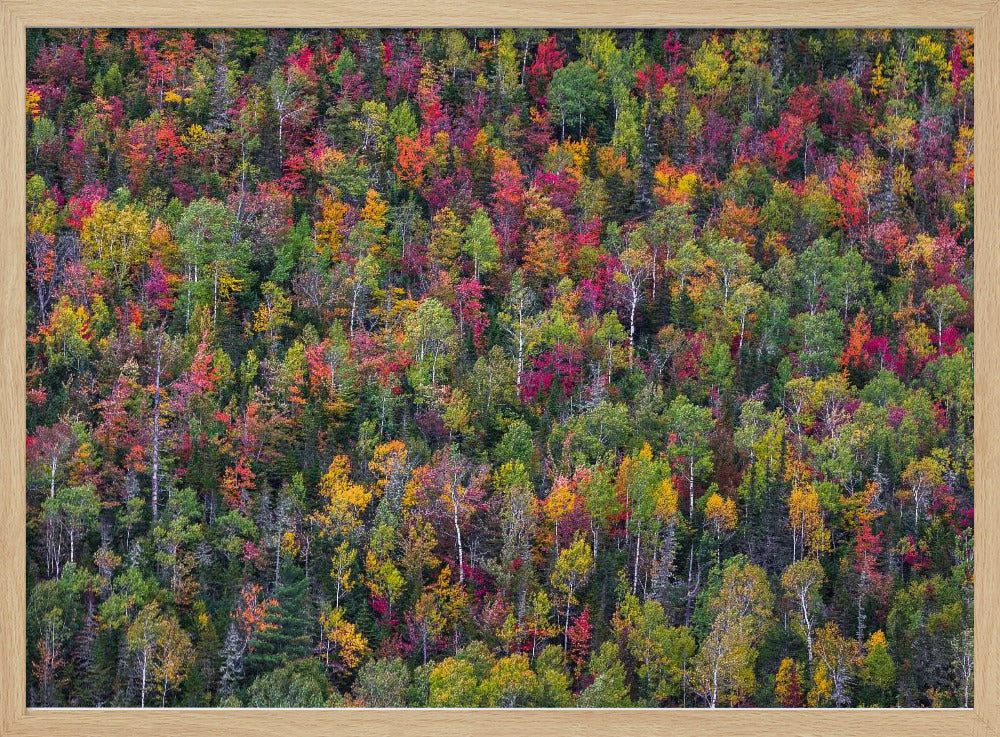 Color palette | Poster