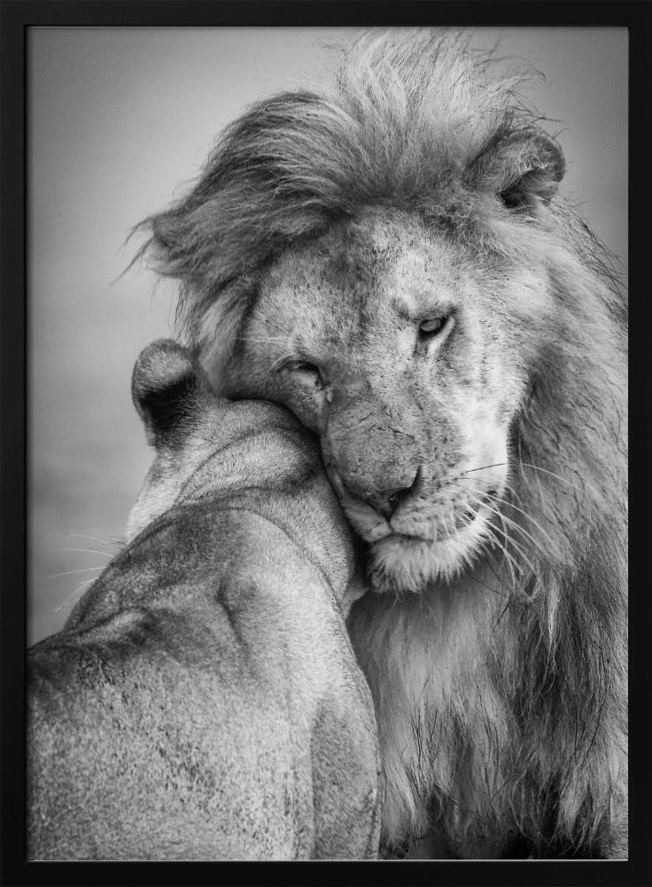 African Love! | Poster