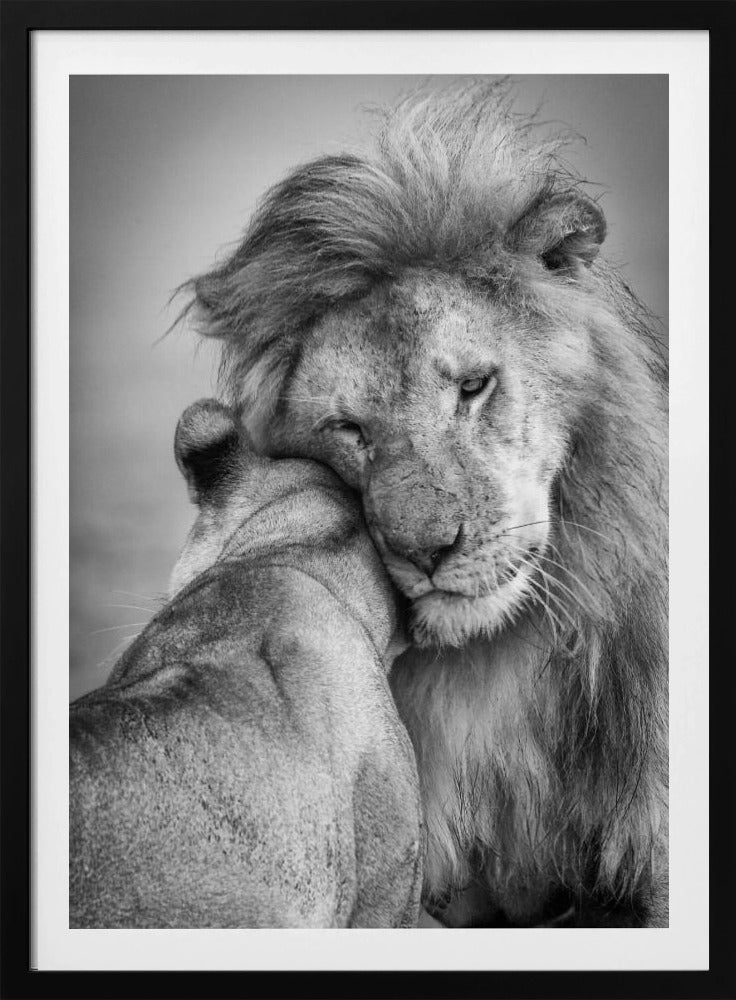 African Love! | Poster