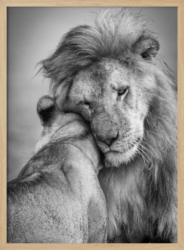 African Love! | Poster