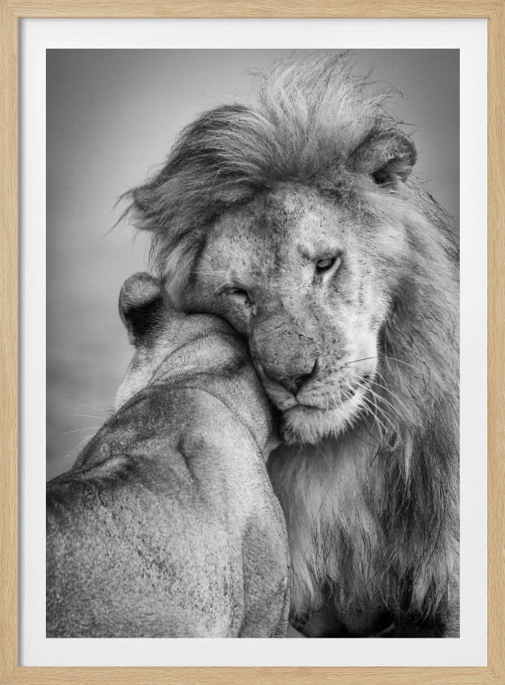 African Love! | Poster