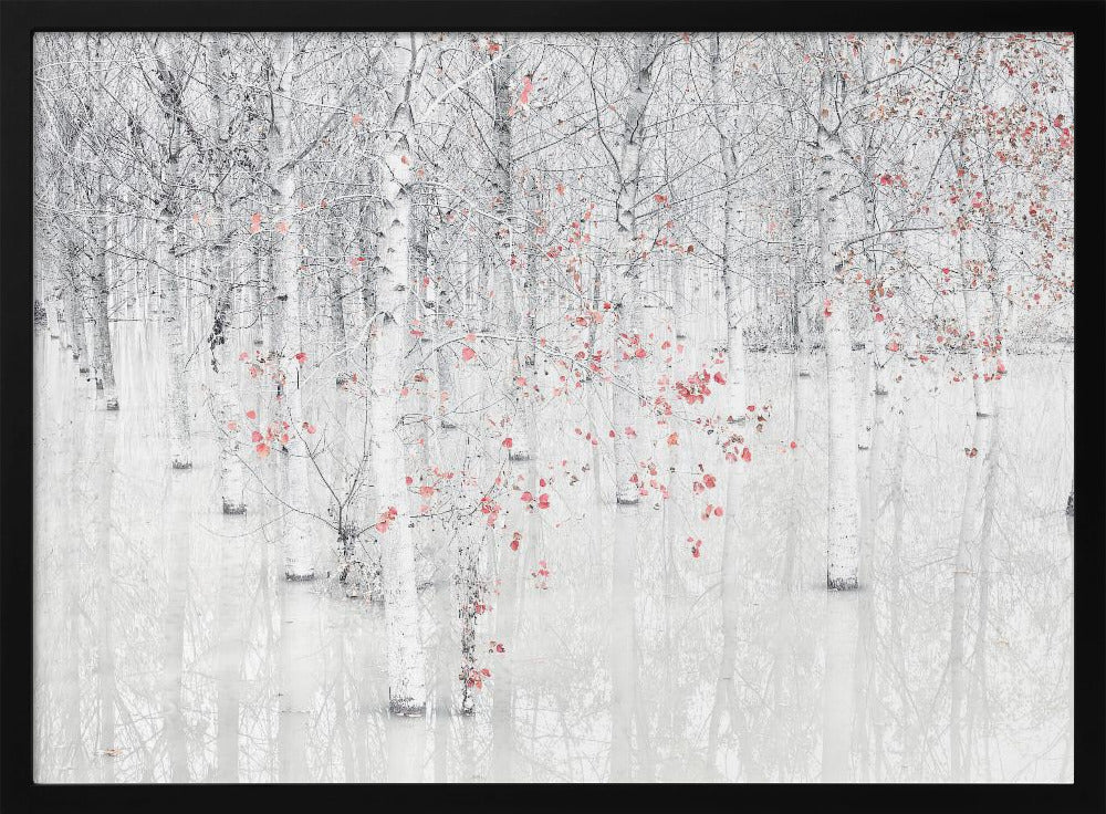 Red & white | Poster