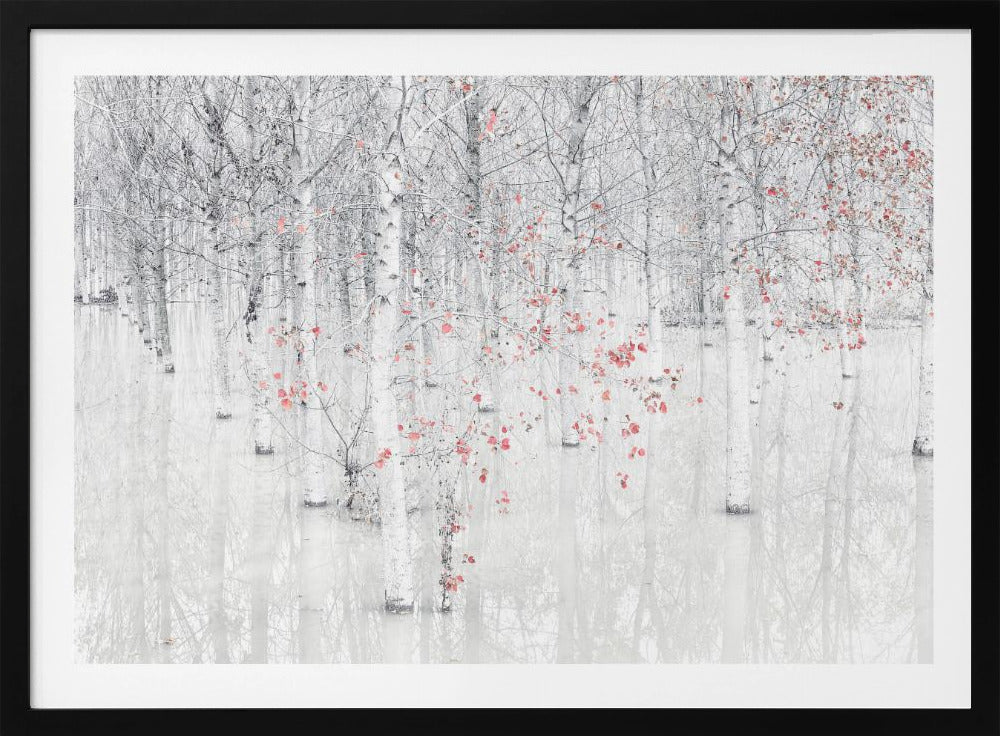 Red & white | Poster