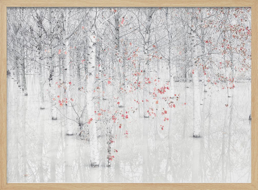 Red & white | Poster