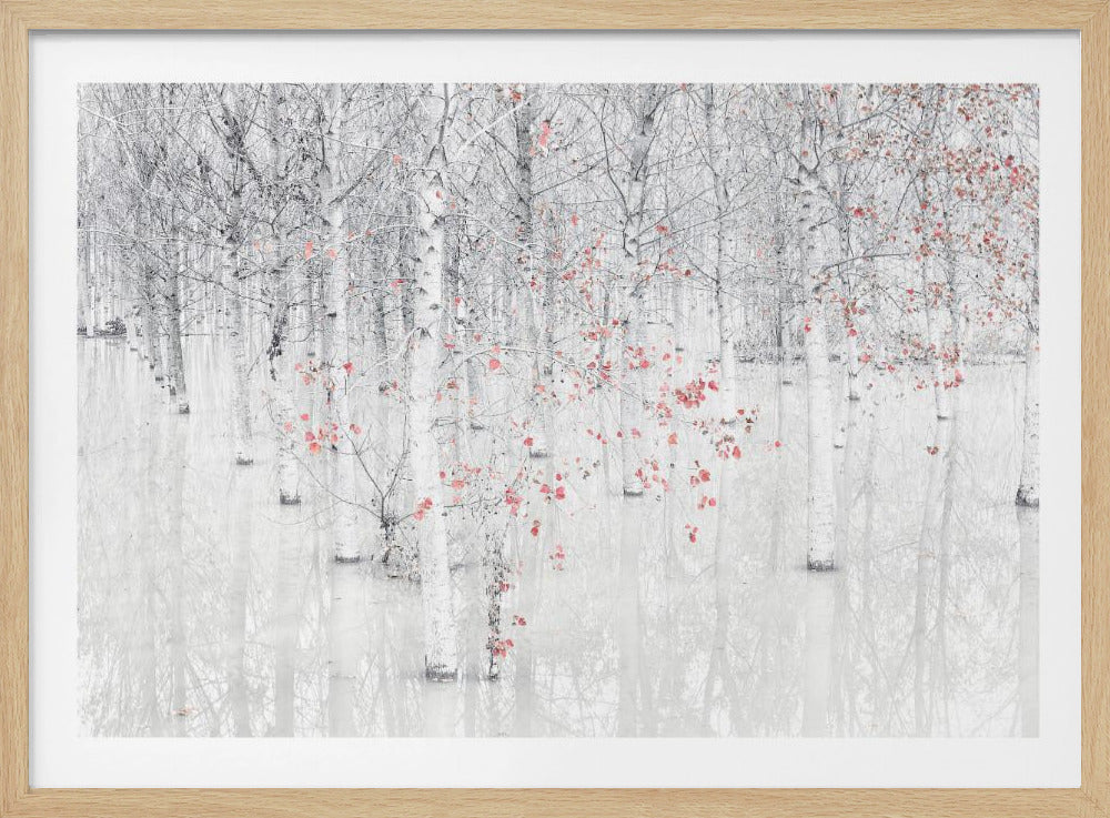 Red & white | Poster