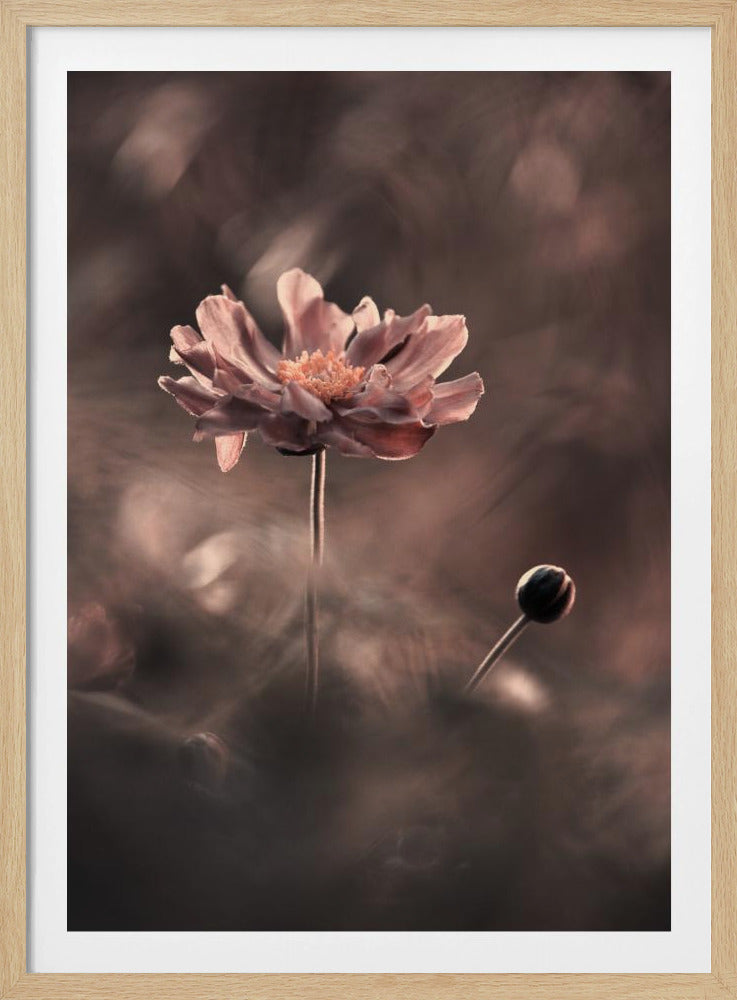 Un présent et un futur révolus. Un passé présent | Poster