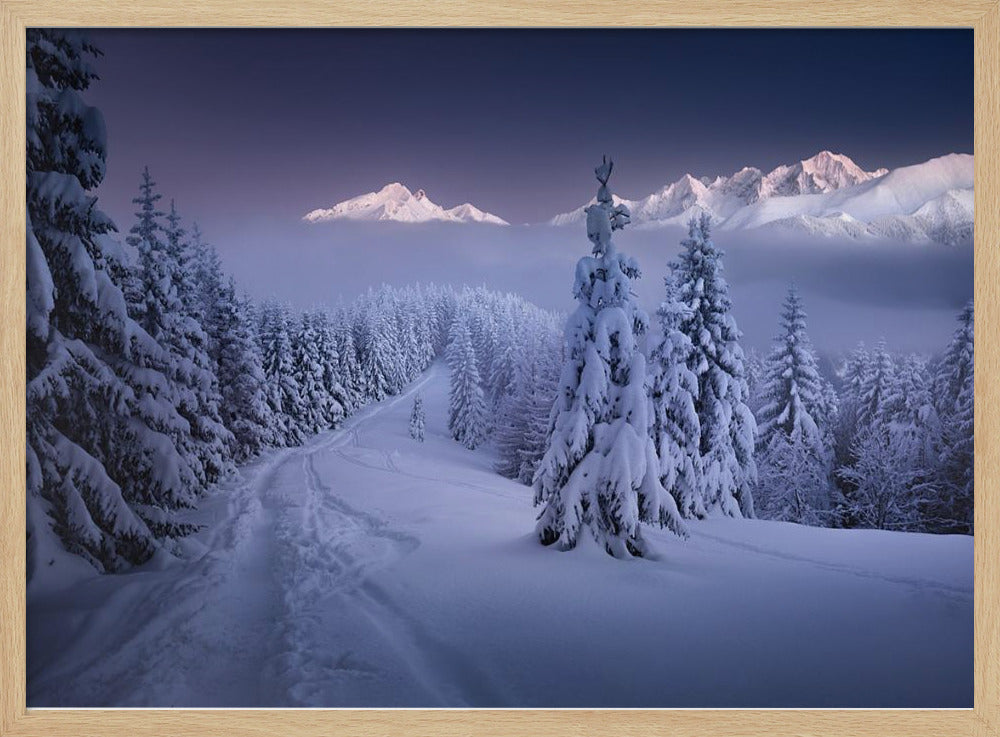 In the Winter | Poster