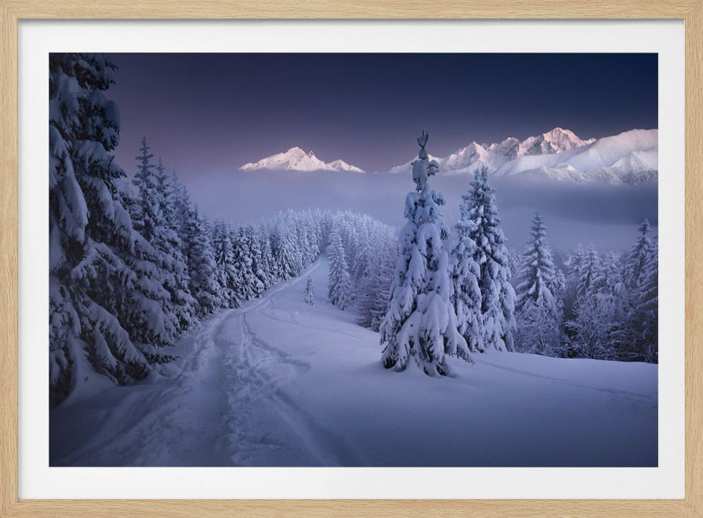 In the Winter | Poster