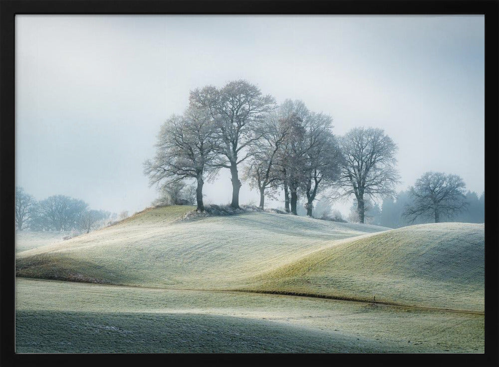 It is not in tuscany | Poster